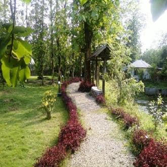 Luxurious Stay In Lataguri, Jalpaiguri 2